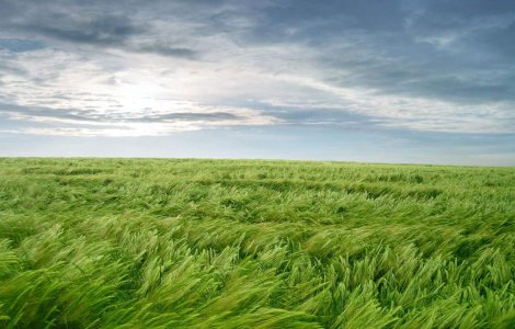 Avertizarea cod galben de vant puternic, prelungita