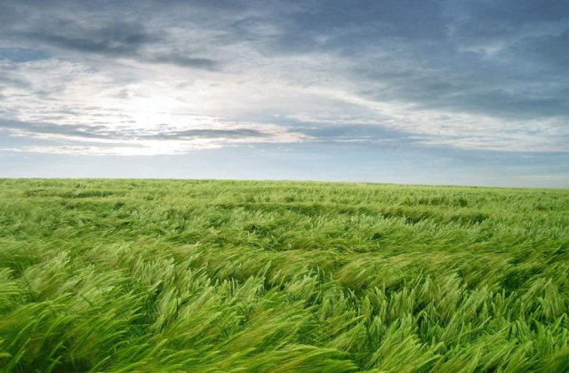 Avertizarea cod galben de vant puternic, prelungita