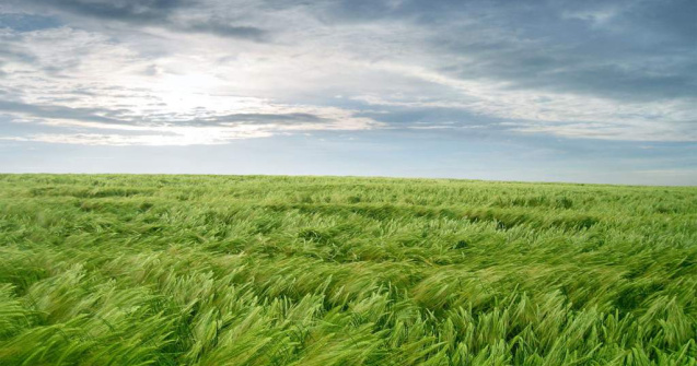 Avertizarea cod galben de vant puternic, prelungita