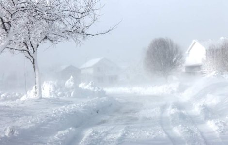 Viscolul face ravagii in Moldova