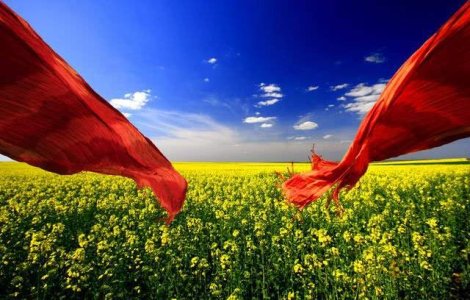 Franta va fi a cincea tara in care se predau cursuri de Limba Romana