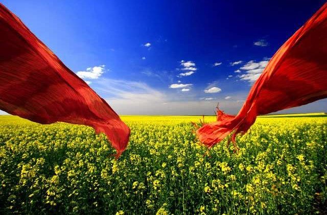 Pricopie:Franta va fi a cincea tara in care avem cursuri de Limba si cultura romaneasca