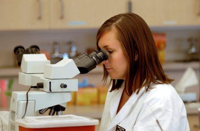 Elevii romani au luat aur si argint la Olimpiada de Stiinte a UE