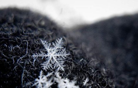  Top  10 lucruri pe care nu le stiai despre ZAPADA