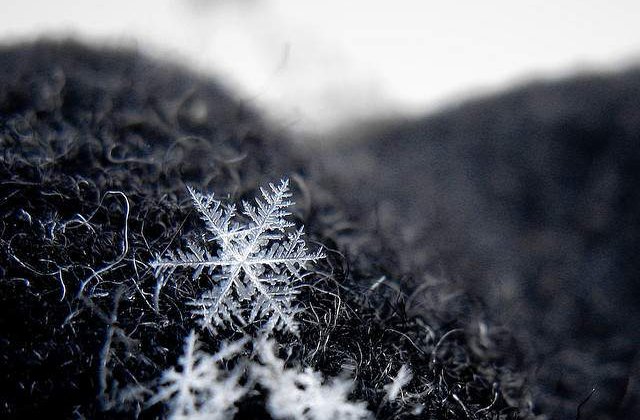 10 lucruri pe care nu le stiai despre ZAPADA