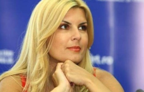 Pace in PDL. Udrea a inchis subiectul contestatiilor