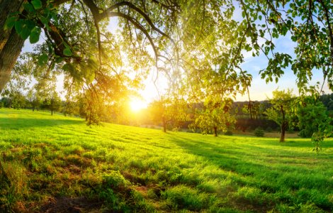  Top  5 beneficii pe care ți le aduce dormitul în aer liber