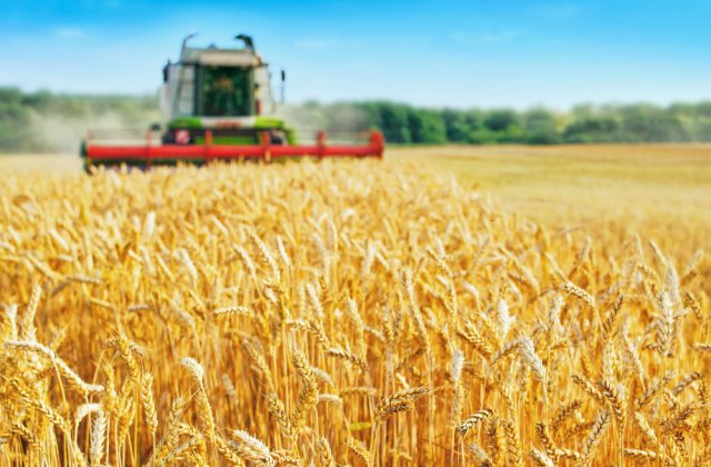 APIA începe să plătească despăgubiri fermierilor ce au fost afectați de secetă