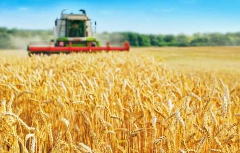 APIA începe să plătească despăgubiri fermierilor ce au fost afectați de secetă