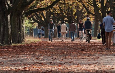 Prognoză specială pentru București. Temperaturi în scădere și vânt puternic