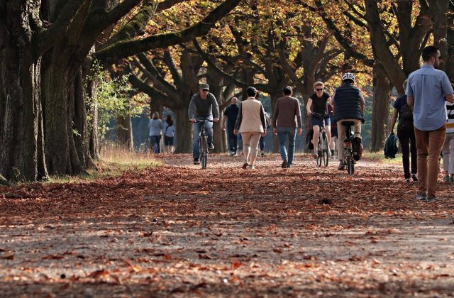 Prognoză specială pentru București. Temperaturi în scădere și vânt puternic pe parcursul zilei de vineri