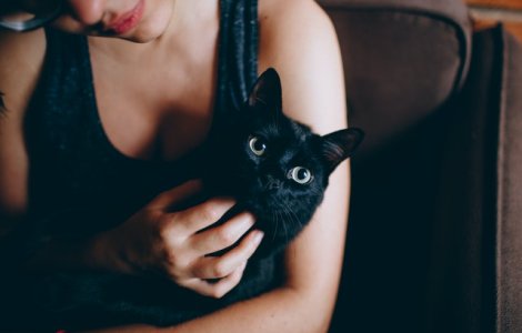 VIDEO Ce face o pisică atunci când rămâne singură acasă