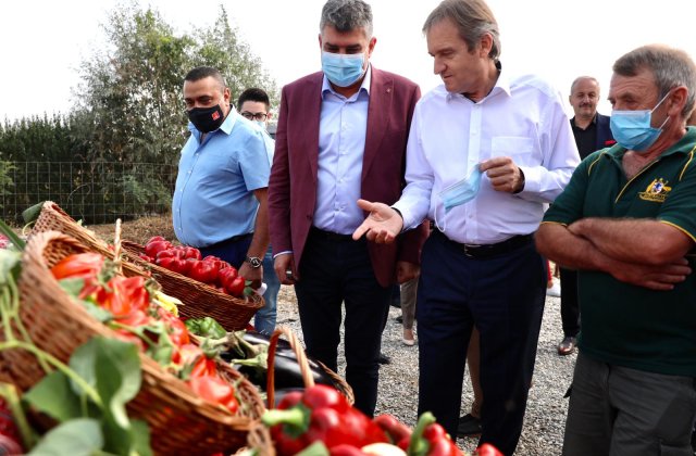 Ciolacu: "Este un dezastru ce se întâmplă în agricultură. Producţia de anul acesta este la jumătate"