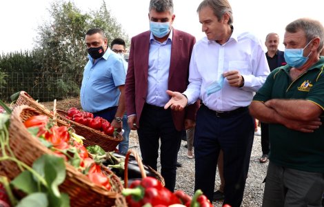 Ciolacu spune că agricultura din anul acesta este un dezastru
