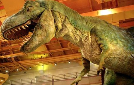 Cel mai mic dinozaur avea doar 10 centimetri