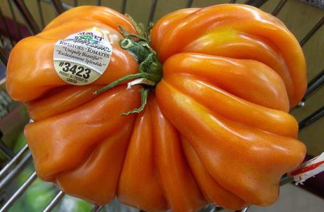 Generatiile viitorului se vor hrani cu OMG-uri, soia si mancare la plic