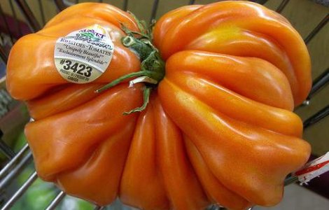 Generatiile viitorului se vor hrani cu OMG-uri, soia si mancare la plic