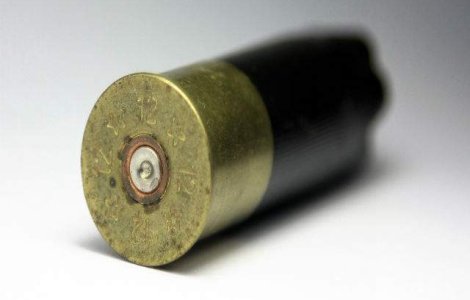 Nastase, urmarit penal pentru nerespectare a regimului armelor