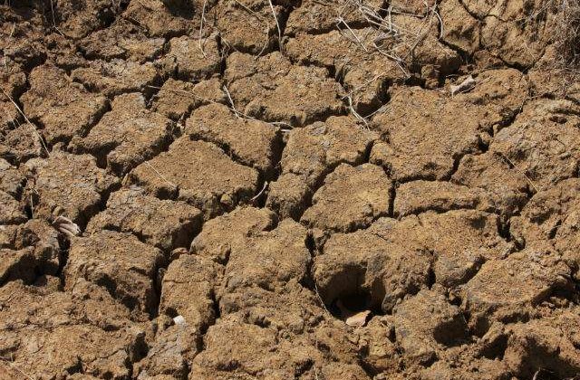 Constantin: Sumele pentru sisteme de irigatii se vor dubla