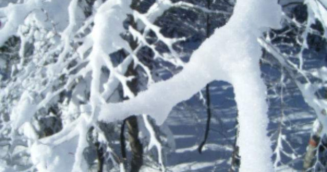 Zapada de pana la un metru si jumatate pe Valea Prahovei