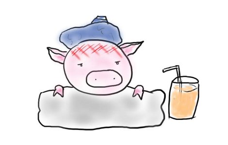 Pesta porcina din Rusia ameninta Romania