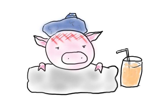 Pesta porcina din Rusia ameninta Romania