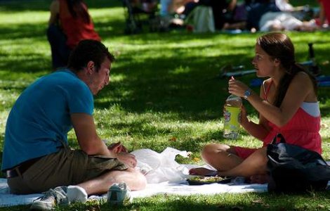 Legea picnicului, o lege a bunului simt