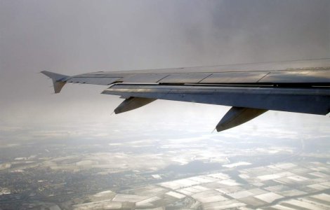 IATA va autoriza pana la finalul lui 2010 folosirea biocarburantilor in transportul aerian