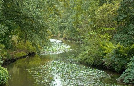 INHGA: Codul portocaliu de inundatii, prelungit pana luni