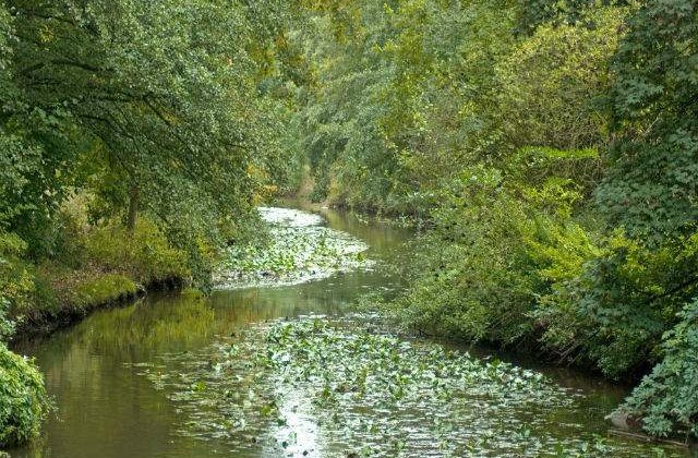 INHGA: Codul portocaliu de inundatii, prelungit pana luni