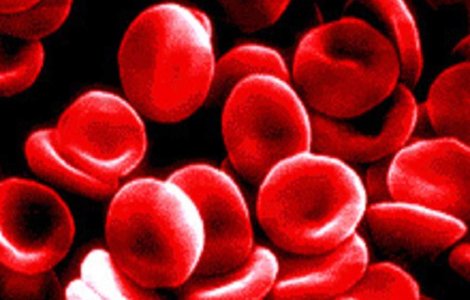 A fost descoperita o noua grupa de sange