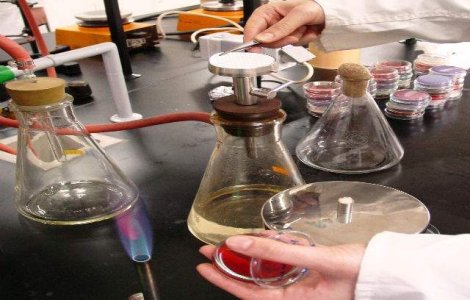 Microfibrele impregnate cu celule pot recosntrui tesuturile vii