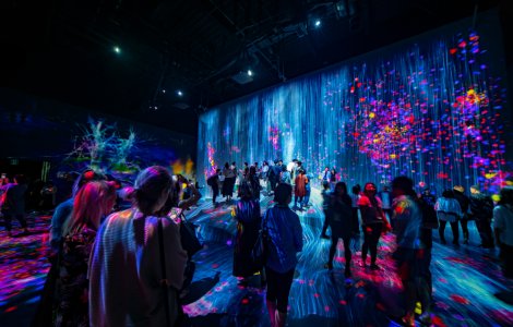 Noaptea Muzeelor 2020: Proiecte digitale pentru elevi