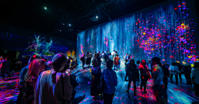 Noaptea Muzeelor 2020: Proiecte digitale pentru elevi