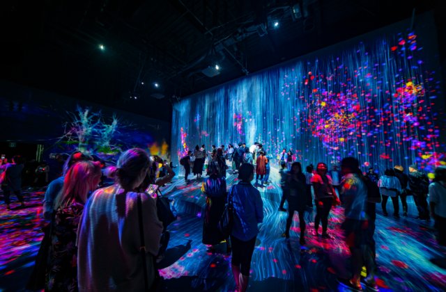 Noaptea Muzeelor 2020: Proiecte digitale pentru elevi cu ocazia celei de-a 16-a ediții