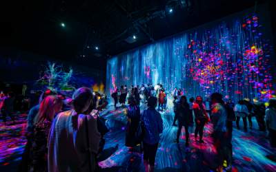 Noaptea Muzeelor 2020:...