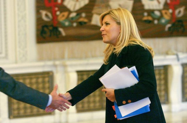 Elena Udrea: Un alt premier va fi nominalizat dupa alegeri si va fi al PDL