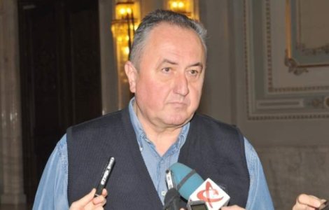 Radulescu: USL trebuie sa-si duca crucea pana la capat