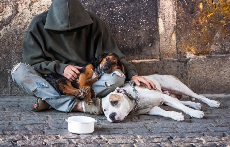 Poliția din Piatra-Neamț cazează oamenii străzii într-un centru specializat