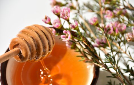 Mierea de Manuka, numeroase beneficii asupra corpului uman