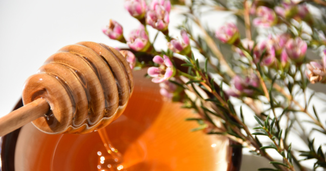 Mierea de Manuka, numeroase beneficii asupra corpului uman