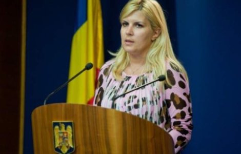 Elena Udrea spune ca nu va candida la functii in PDL