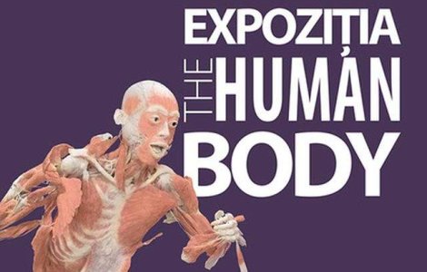 Scandal in educatie din cauza expozitiei The Human Body
