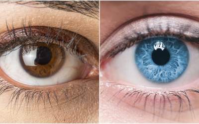 Oamenii cu ochi căprui...