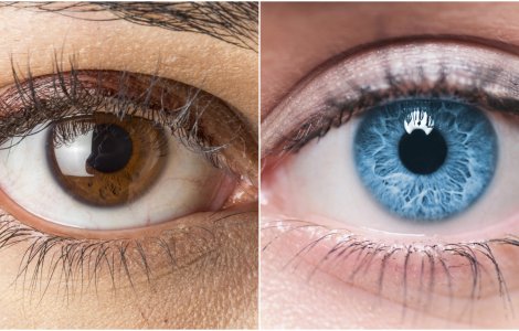  Top  Oamenii cu ochi căprui inspiră încredere: 8 trăsături de caracter în funcție de culoarea ochilor