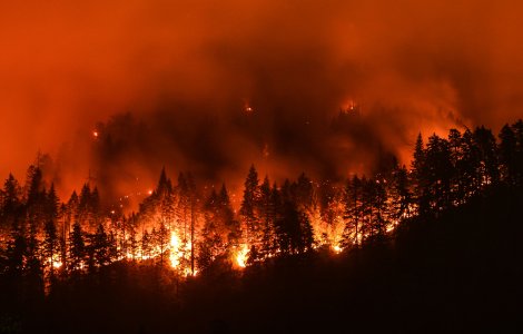 VIDEO Incendiile din California au distrus peste 1,6 milioane de hectare