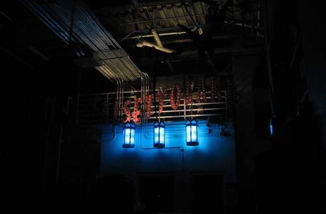 Setea de cultura: "Teatrul de noapte" a umplut salile bucurestene