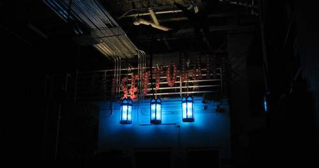 Setea de cultura: "Teatrul de noapte" a umplut salile bucurestene