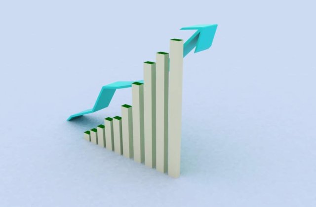 Fitch: Economia Romaniei va creste cu 2% in 2010
