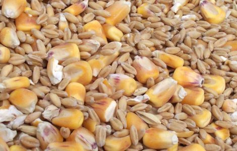 CE nu vrea sa prelungeasca taxarea inversa la cereale